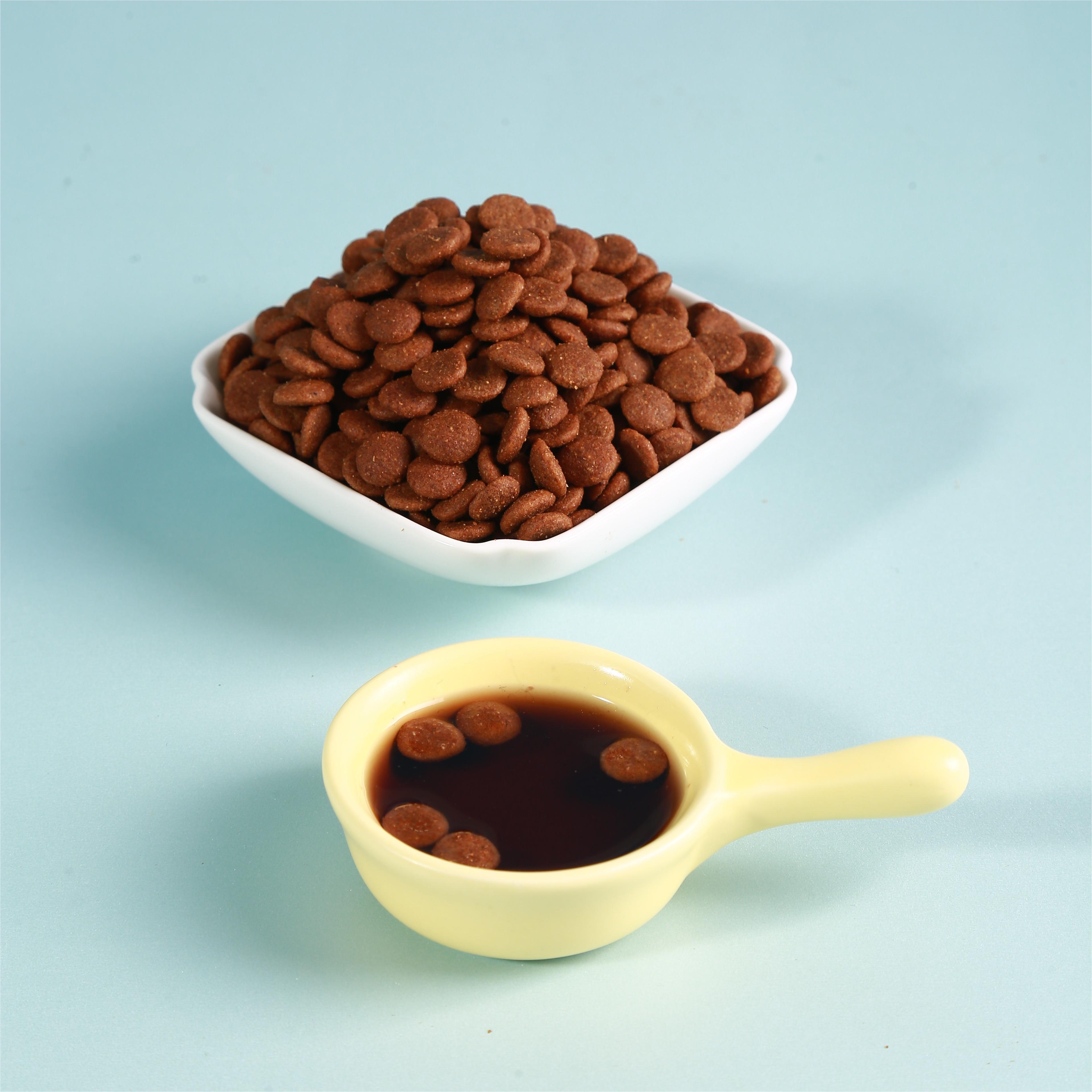Dog food served in a bowl