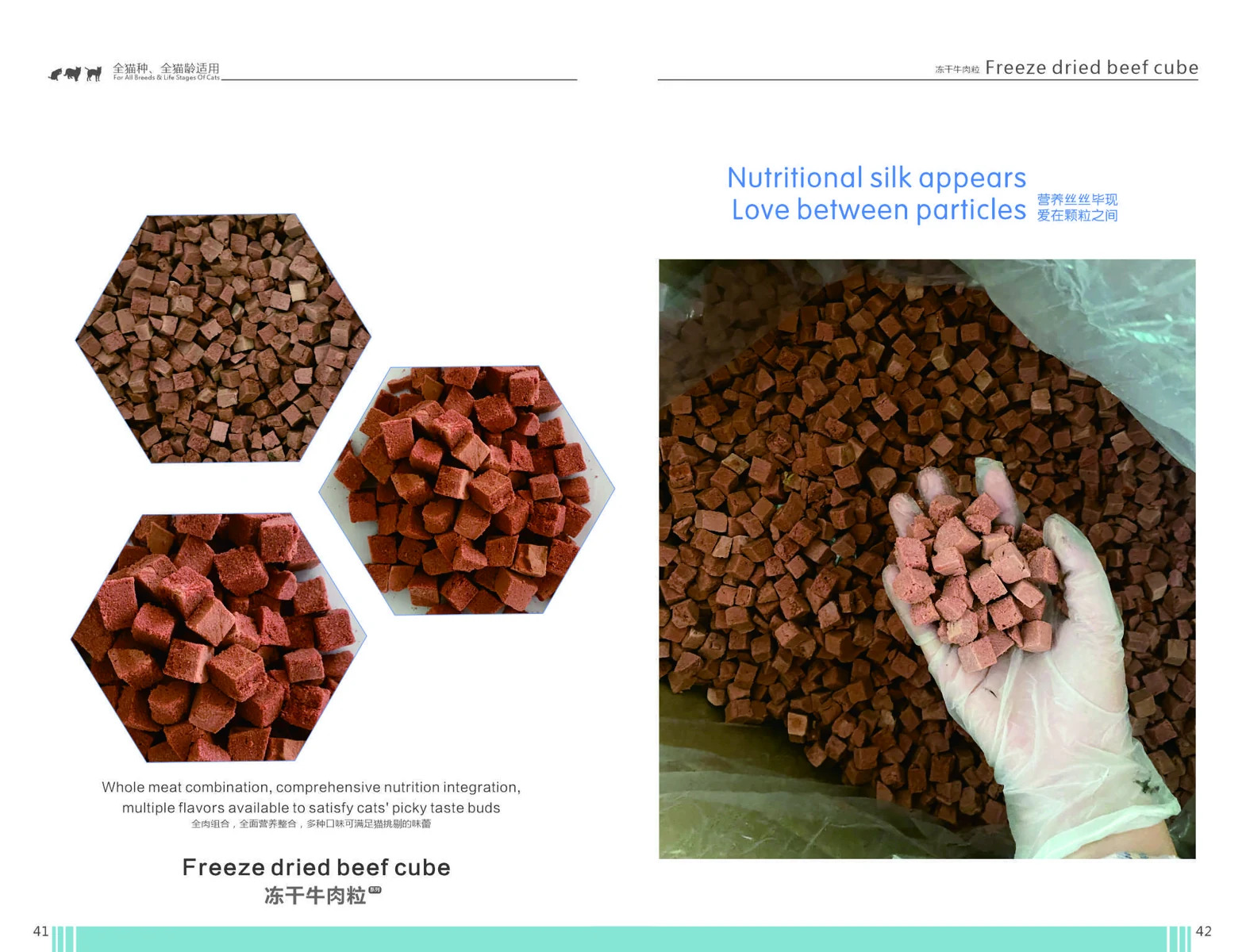 Freeze-dried beef cube catalogue page