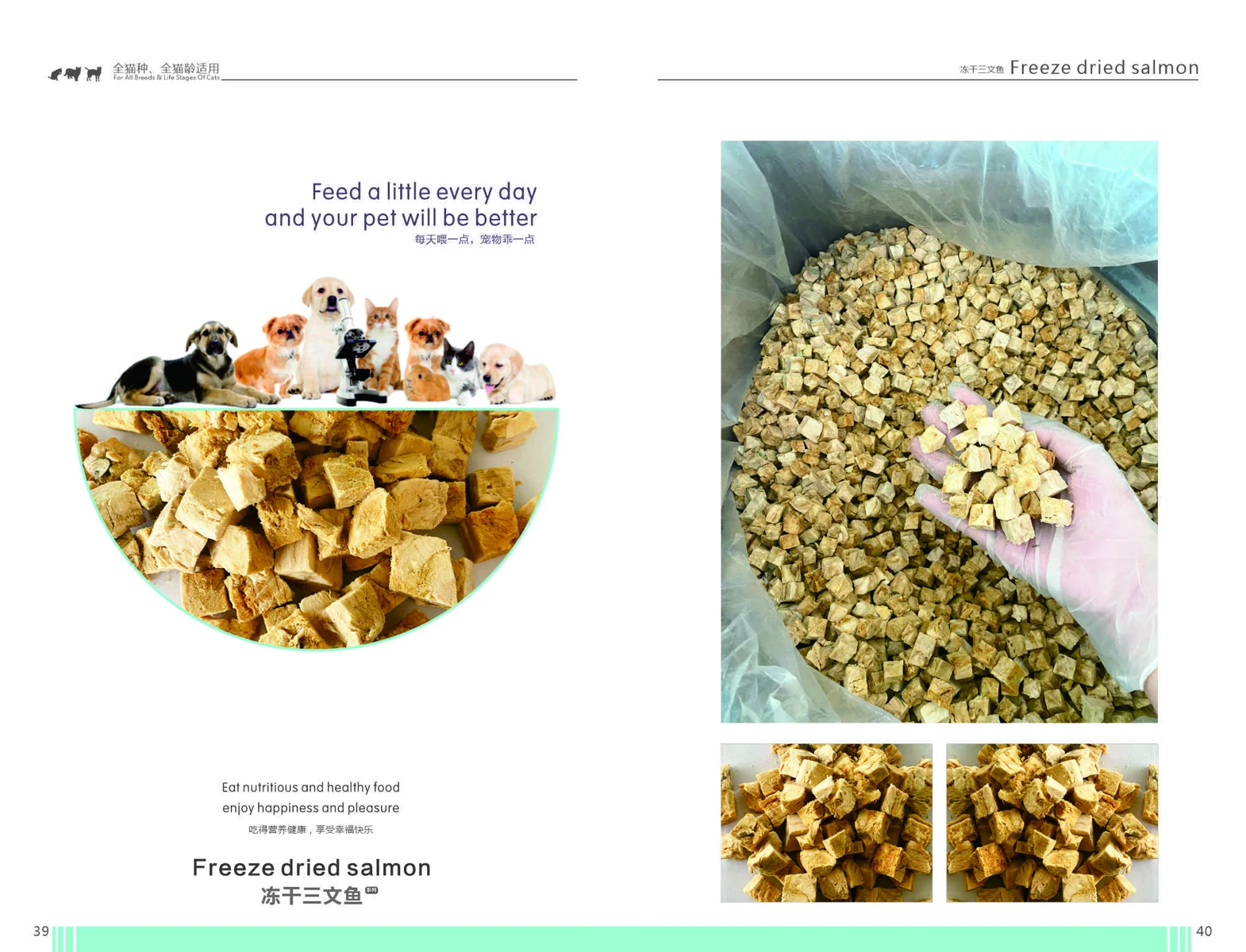 Freeze-dried salmon catalogue page