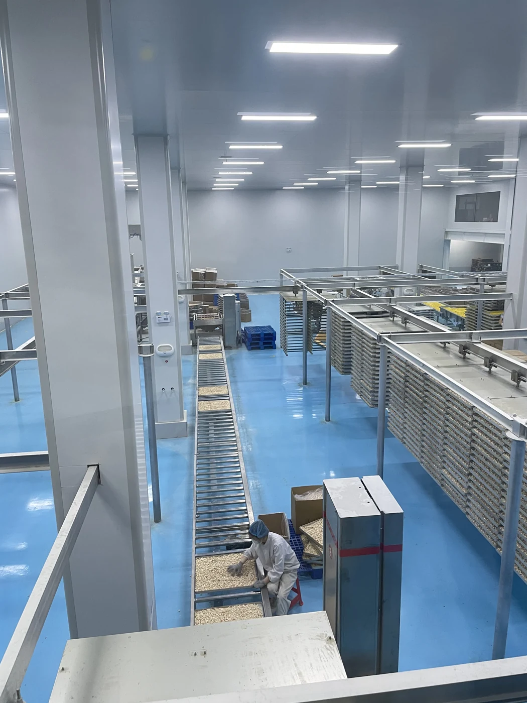 Quchong clean production workshop and conveyor line